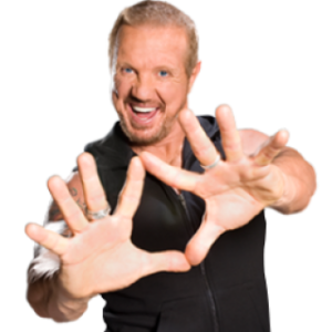 Diamond Dallas Page