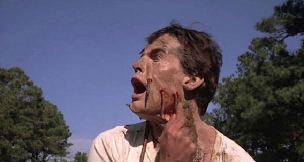Squirm Blu-Ray Review