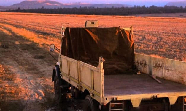 BEAT THE DRUM DVD REVIEW