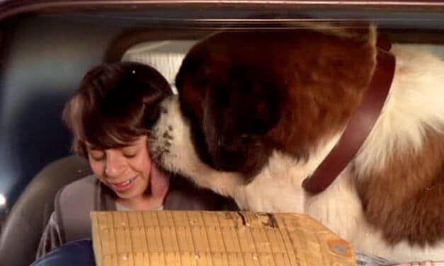 BEETHOVEN’S BIG BREAK DVD REVIEW