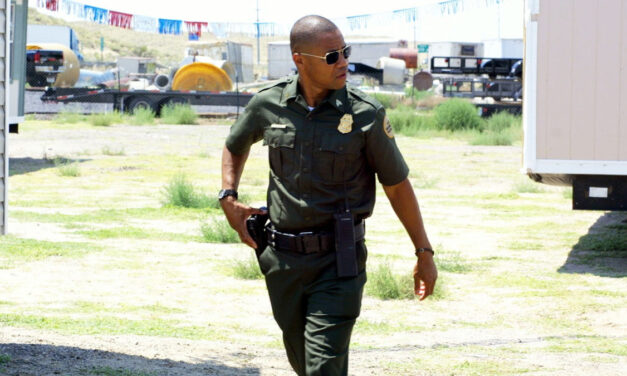 LINEWATCH DVD REVIEW