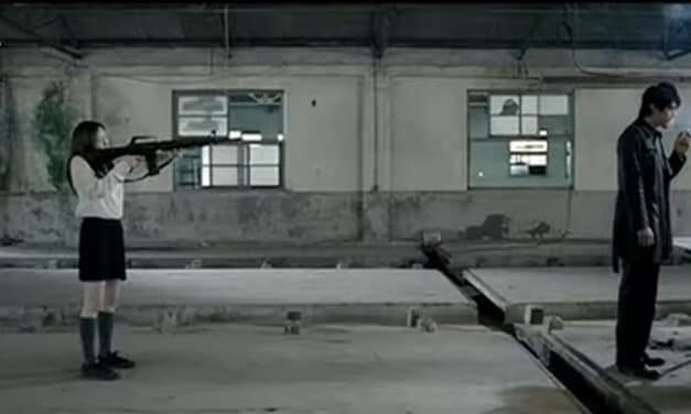 THE PUZZLE DVD REVIEW